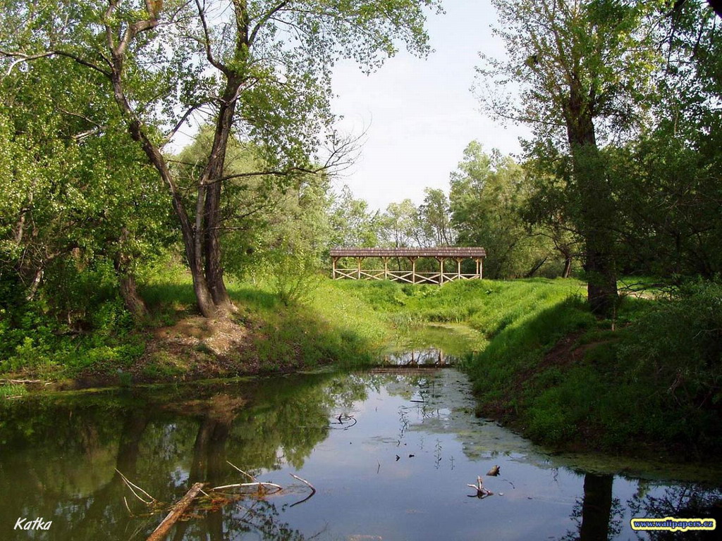 как почистить заброшенный пруд #10