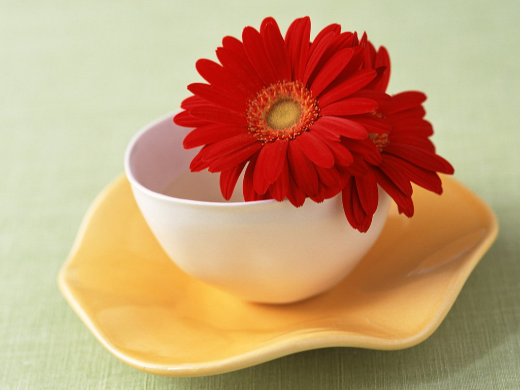 wallpapers_17870.jpg