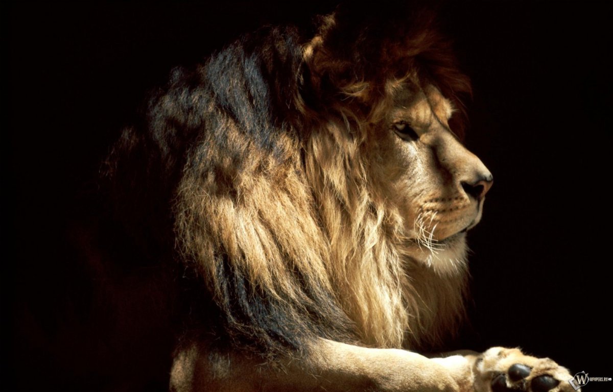 wallpapers_3198.jpg