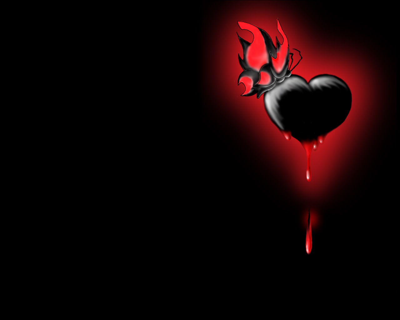 Black Bleeding Heart