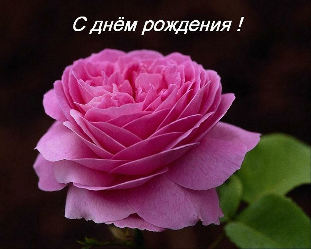 Заставка футаж поздравление с Заставка футаж поздравление с