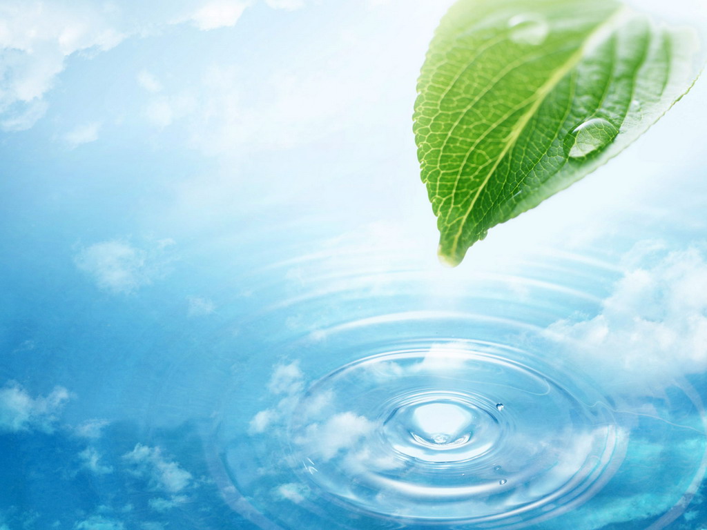 wallpapers_8081.jpg