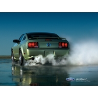 Ford Mustang    -     ,   