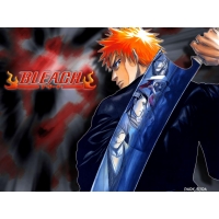 Bleach обои (2 шт.) Bleach обои (2 шт.)