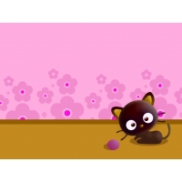 Котята обои (3 шт.) Котята обои (3 шт.)