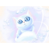 Кошки обои (6 шт.) Кошки обои (6 шт.)