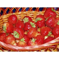 Клубника обои (6 шт.) Клубника обои (6 шт.)