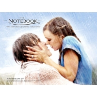 Notebook The     
