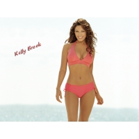 Kelly Brook обои (2 шт.) Kelly Brook обои (2 шт.)