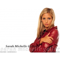 Sarah Michelle Gellar обои (2 шт.) Sarah Michelle Gellar обои (2 шт.)
