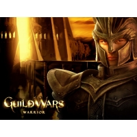  Guild Wars Warrior -        , 
