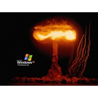     Windows XP,       