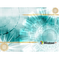   Windows XP -      ,  - 