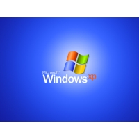 -  Windows XP -       , 