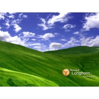 Microsoft Longhorn Home Edition  ,       