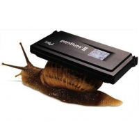 Pentium обои (2 шт.) Pentium обои (2 шт.)