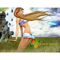     Windows Vista - ,     , 