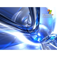 Windows XP Professional   -       , 