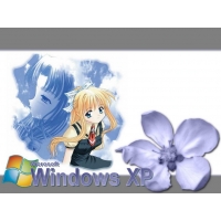    Windows XP, ,     