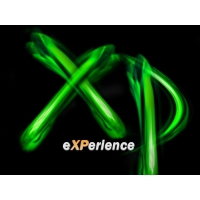Experience XP -       ,  