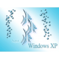 qua windows XP -       ,  - 