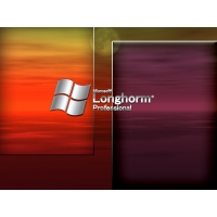 Microsoft Longhorm Professional,        
