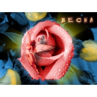 Цветок обои (2 шт.) Цветок обои (2 шт.)
