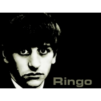 Beatles обои (3 шт.) Beatles обои (3 шт.)
