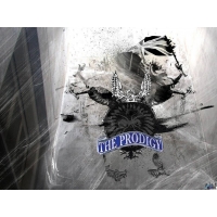 Prodigy обои (2 шт.) Prodigy обои (2 шт.)