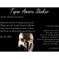 Репир Tupac Amaru - скачать картинки на комп и обои для рабочего стола, музыка Репир Tupac Amaru - скачать картинки на комп и обои для рабочего стола, музыка