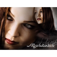  Nightwish -     ,  