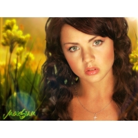 Maksim обои (4 шт.) Maksim обои (4 шт.)
