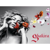 Shakira обои (4 шт.) Shakira обои (4 шт.)