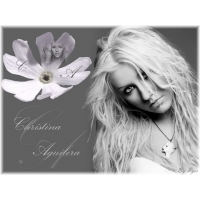 Chistina Aguilera обои (4 шт.) Chistina Aguilera обои (4 шт.)