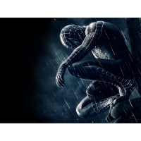Spider Man  (6 .)