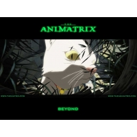  AniMatrix -      windows,  - 