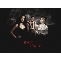  Black Dahlia -     ,  