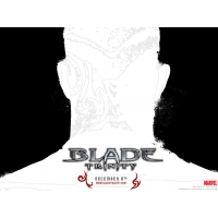Blade обои (2 шт.) Blade обои (2 шт.)
