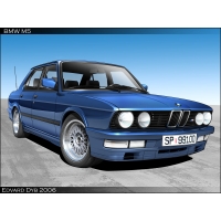 BMW m5  (15 .)