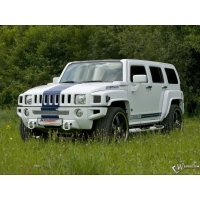 Hummer H3  (9 .)