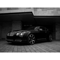 Bentley Continental  (16 .)