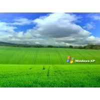 Windows XP,      