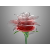 Розы обои (3 шт.) Розы обои (3 шт.)