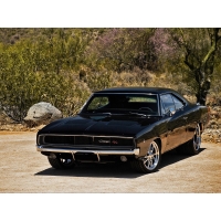 Muscle cars,       