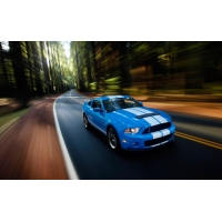 Mustang, обои и красивые картинки на рабочий стол Mustang, обои и красивые картинки на рабочий стол