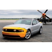 Mustang, картинки на рабочий стол компьютера и обои для рабочего стола Mustang, картинки на рабочий стол компьютера и обои для рабочего стола