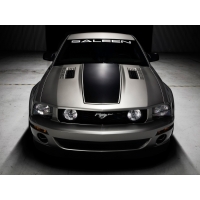 Saleen обои (5 шт.) Saleen обои (5 шт.)