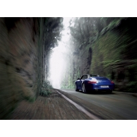 Porshe Carrera обои (2 шт.) Porshe Carrera обои (2 шт.)