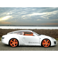 Porshe Rinspeed  (5 .)