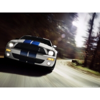 Ford Shelby  (2 .)